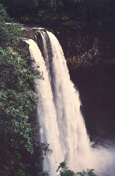 Hawaiian Waterfall